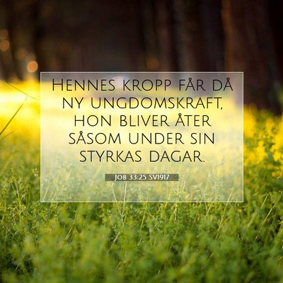 Job 33:25 Bibelvers Förklarad