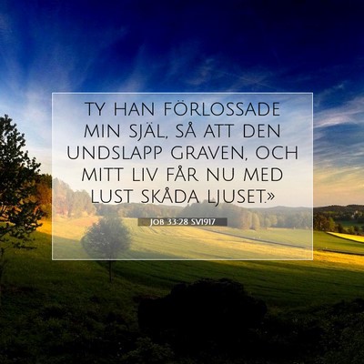 Job 33:28 SV1917 Bild av bibelvers