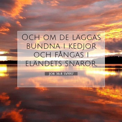 Job 36:8 Bibelvers Förklarad