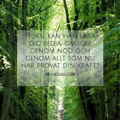 Job 36:19 Bibelvers Förklarad