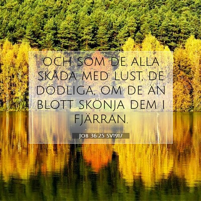 Job 36:25 Bibelvers Förklarad