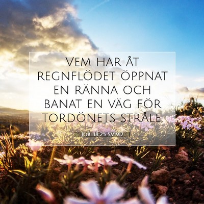 Job 38:25 SV1917 Bild av bibelvers