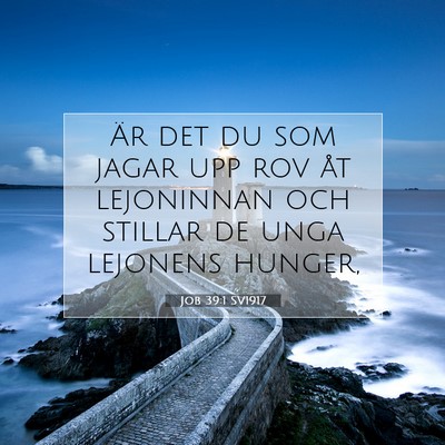 Job 39:1 SV1917 Bild av bibelvers