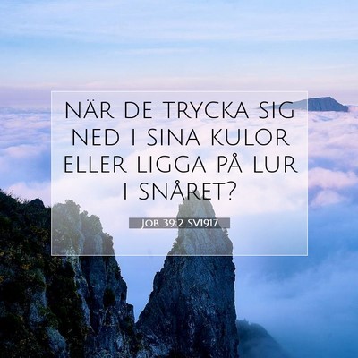 Job 39:2 Bibelvers Förklarad