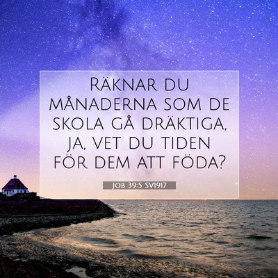 Job 39:5 SV1917 Bild av bibelvers