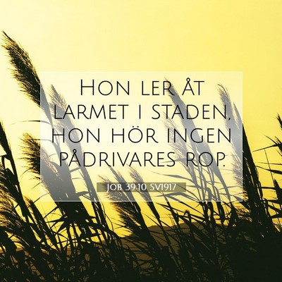 Job 39:10 Bibelvers Förklarad