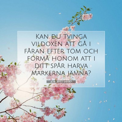 Job 39:13 SV1917 Bild av bibelvers