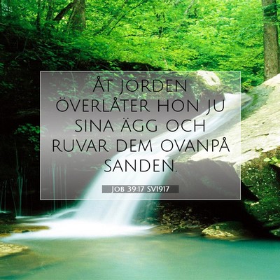 Job 39:17 SV1917 Bild av bibelvers