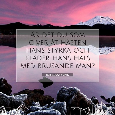 Job 39:22 Bibelvers Förklarad