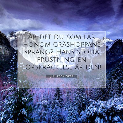 Job 39:23 Bibelvers Förklarad