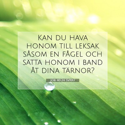 Job 40:24 Bibelvers Förklarad