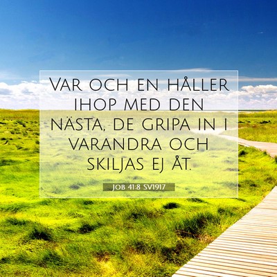Job 41:8 Bibelvers Förklarad