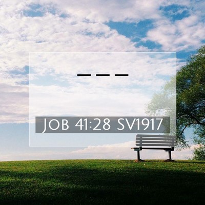 Job 41:28 SV1917 Bild av bibelvers