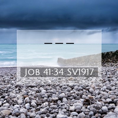Job 41:34 Bibelvers Förklarad