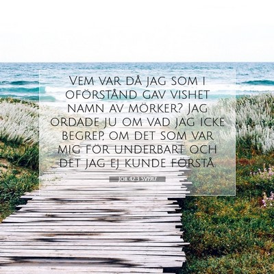 Job 42:3 SV1917 Bild av bibelvers