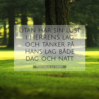 Psaltaren 1:2 Bibelvers Förklarad
