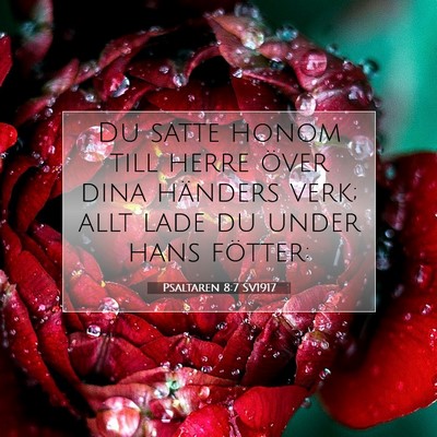 Psaltaren 8:7 Bibelvers Förklarad