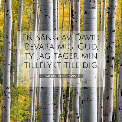 Psaltaren 16:1 Bibelvers Förklarad