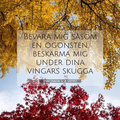 Psaltaren 17:8 SV1917 Bild av bibelvers