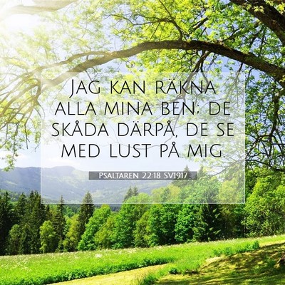 Psaltaren 22:18 Bibelvers Förklarad