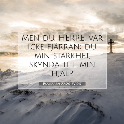 Psaltaren 22:20 Bibelvers Förklarad
