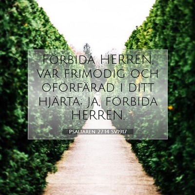 Psaltaren 27:14 SV1917 Bild av bibelvers
