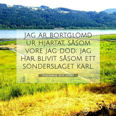 Psaltaren 31:13 SV1917 Bild av bibelvers