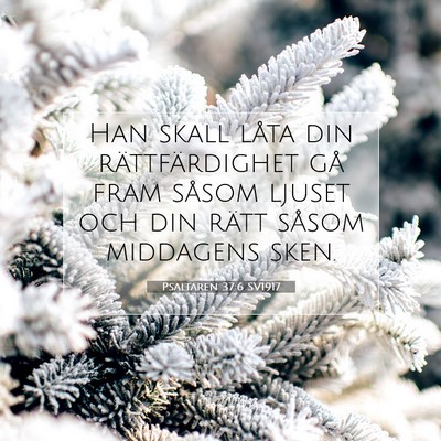 Psaltaren 37:6 Bibelvers Förklarad