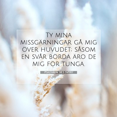 Psaltaren 38:5 Bibelvers Förklarad