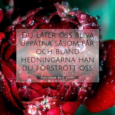 Psaltaren 44:12 Bibelvers Förklarad