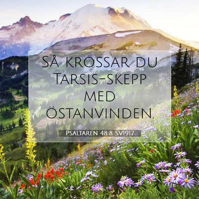 Psaltaren 48:8 Bibelvers Förklarad