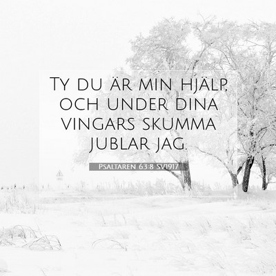 Psaltaren 63:8 Bibelvers Förklarad