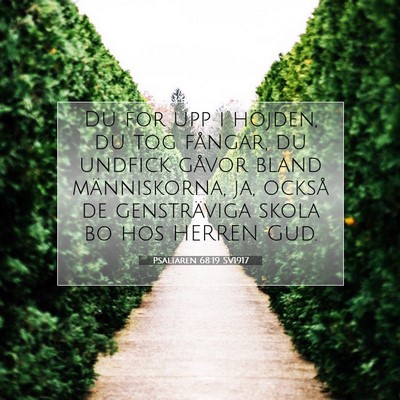 Psaltaren 68:19 Bibelvers Förklarad