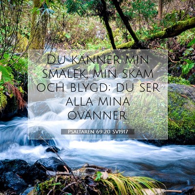 Psaltaren 69:20 SV1917 Bild av bibelvers