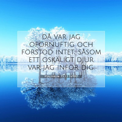 Psaltaren 73:22 Bibelvers Förklarad