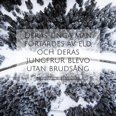 Psaltaren 78:63 Bibelvers Förklarad