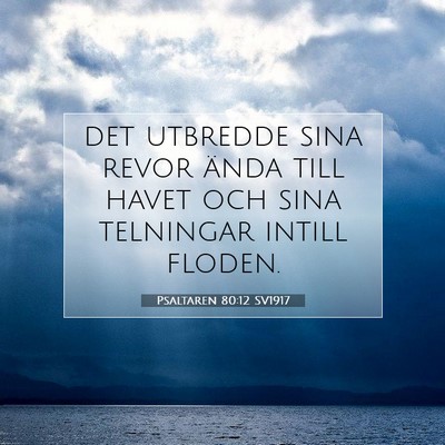 Psaltaren 80:12 Bibelvers Förklarad