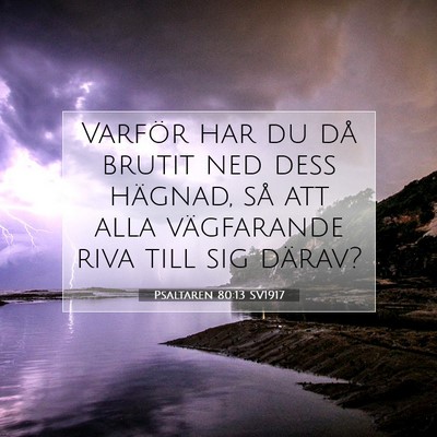 Psaltaren 80:13 Bibelvers Förklarad