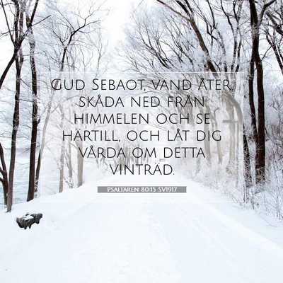 Psaltaren 80:15 Bibelvers Förklarad