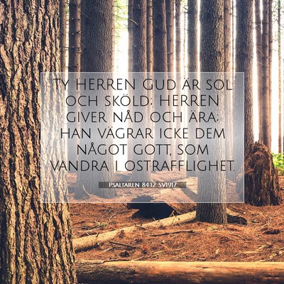 Psaltaren 84:12 SV1917 Bild av bibelvers