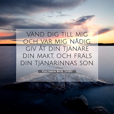 Psaltaren 86:16 Bibelvers Förklarad