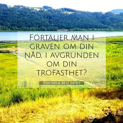 Psaltaren 88:12 Bibelvers Förklarad