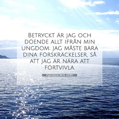Psaltaren 88:16 Bibelvers Förklarad