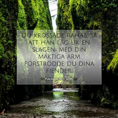 Psaltaren 89:11 Bibelvers Förklarad