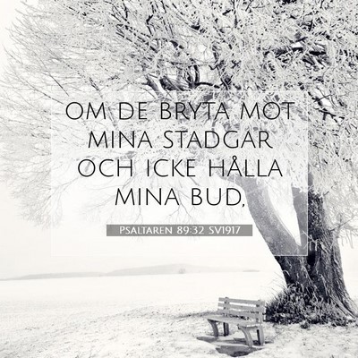 Psaltaren 89:32 Bibelvers Förklarad