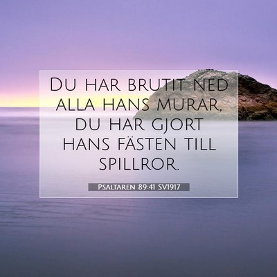 Psaltaren 89:41 SV1917 Bild av bibelvers
