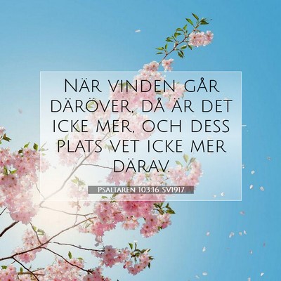 Psaltaren 103:16 Bibelvers Förklarad
