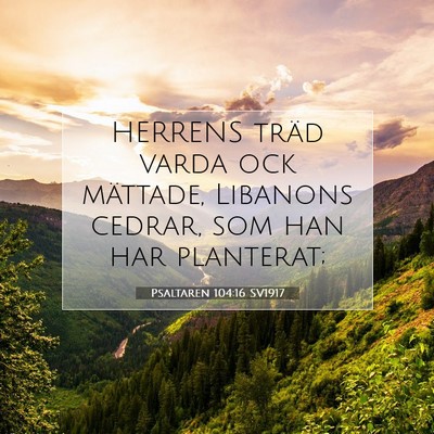Psaltaren 104:16 Bibelvers Förklarad