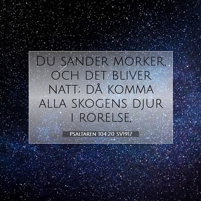 Psaltaren 104:20 Bibelvers Förklarad
