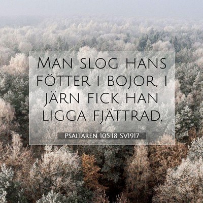Psaltaren 105:18 Bibelvers Förklarad